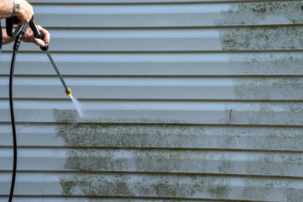 Reliable Sterling Heights, MI Junk Removal Solutions