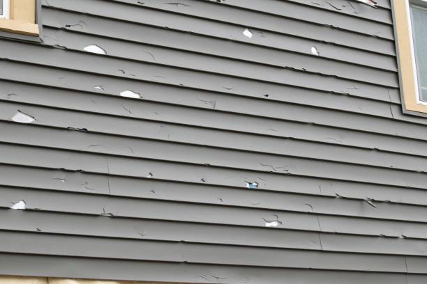 Best Garage Cleanout  in Sterling Heights, MI