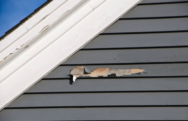 Best Residential Junk Removal  in Sterling Heights, MI